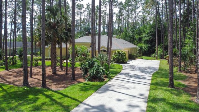 313 PINE BLUFF DRIVE, Lutz, FL 33549