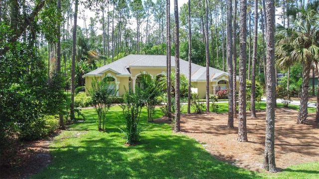 313 PINE BLUFF DRIVE, Lutz, FL 33549