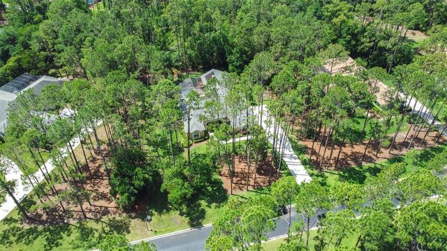 313 PINE BLUFF DRIVE, Lutz, FL 33549