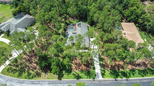 313 PINE BLUFF DRIVE, Lutz, FL 33549