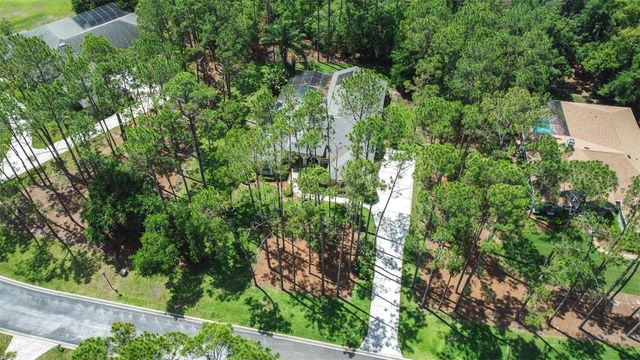 313 PINE BLUFF DRIVE, Lutz, FL 33549