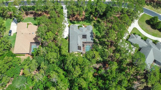 313 PINE BLUFF DRIVE, Lutz, FL 33549