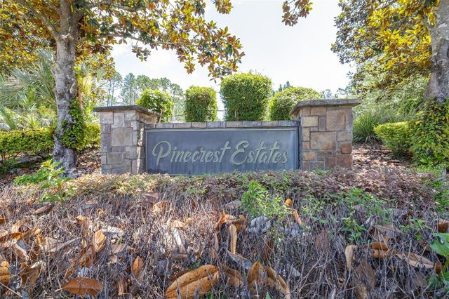 313 PINE BLUFF DRIVE, Lutz, FL 33549