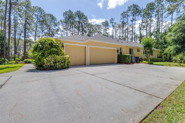 313 PINE BLUFF DRIVE, Lutz, FL 33549