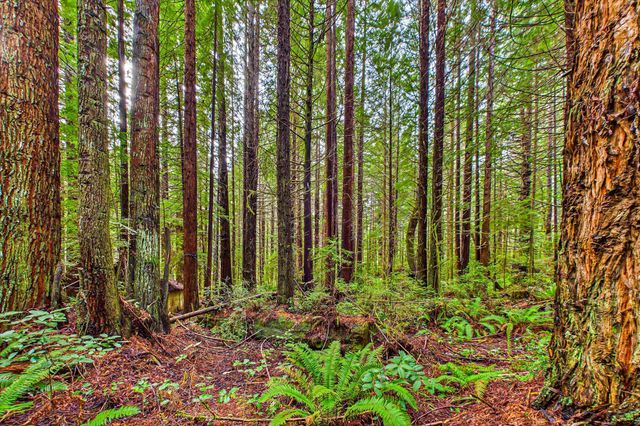 4024 Old Railroad Grade Road, Fieldbrook, CA 95519