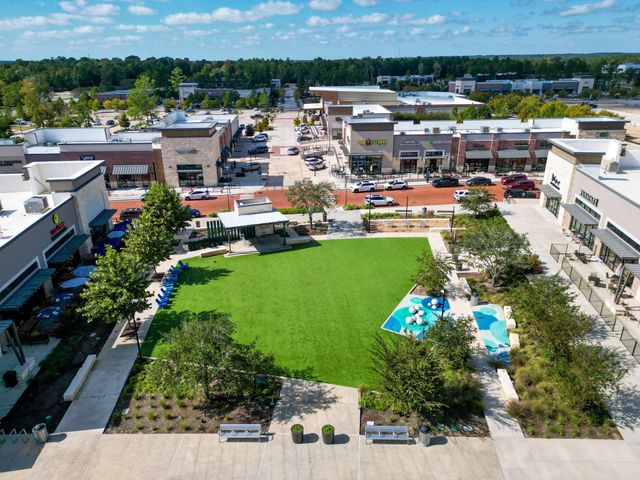 118 Wild Wisteria Lane, Montgomery, TX 77316