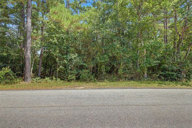 00 Bilnoski Road, Willis, TX 77378