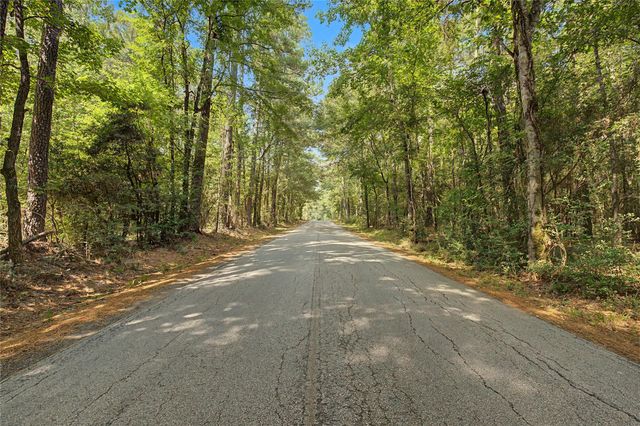 00 Bilnoski Road, Willis, TX 77378