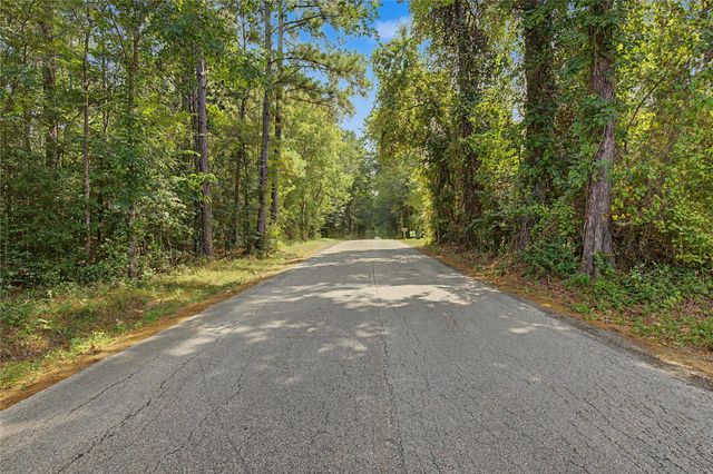 00 Bilnoski Road, Willis, TX 77378