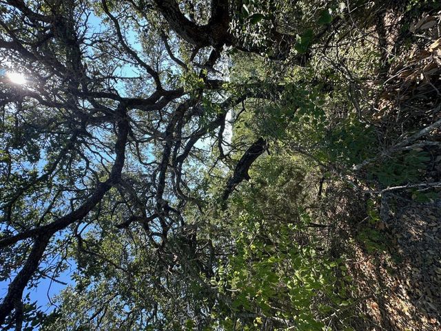 8503 Talon CIR, Lago Vista, TX 78645