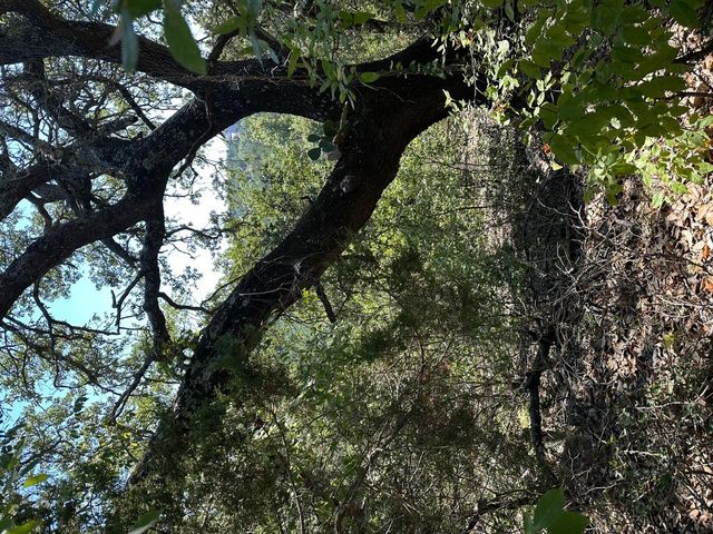 8503 Talon CIR, Lago Vista, TX 78645