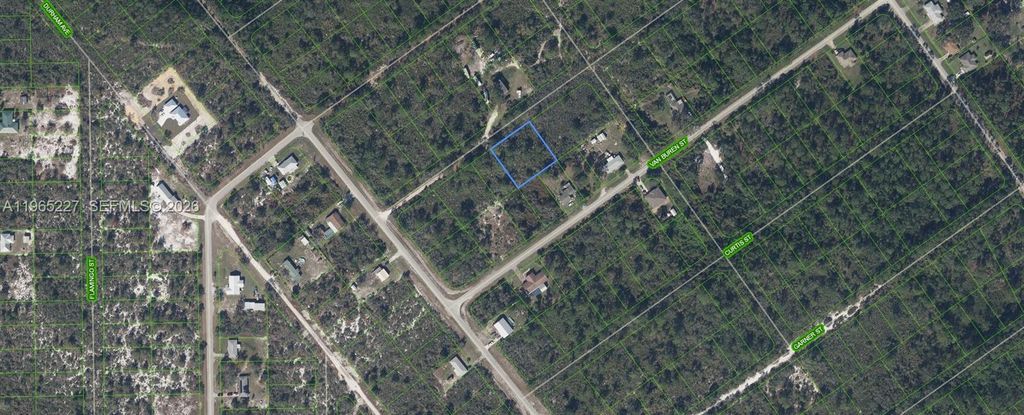 1209 Bradley Avenue, Lake Placid, FL 33852