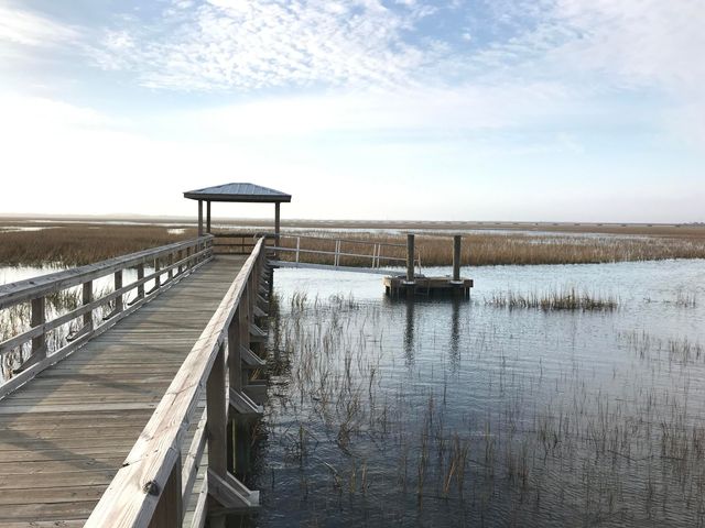 1466 Red Tide Road, Mount Pleasant, SC 29466