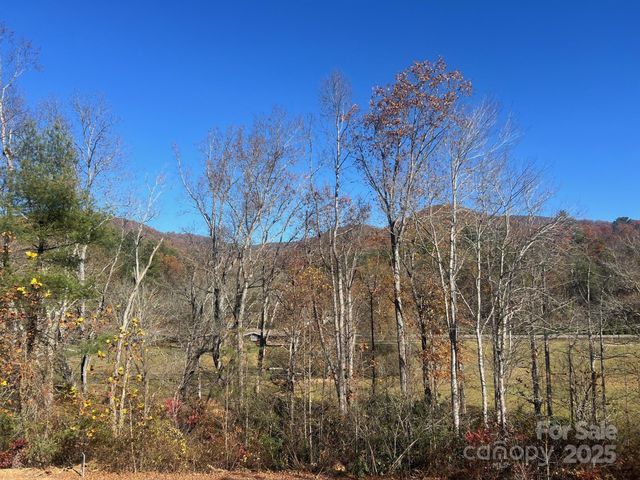 73 The Old Run None, Fairview, NC 28730