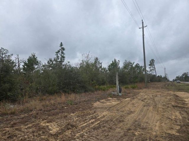 0000 NW CR 274 Road, Altha, FL 32421