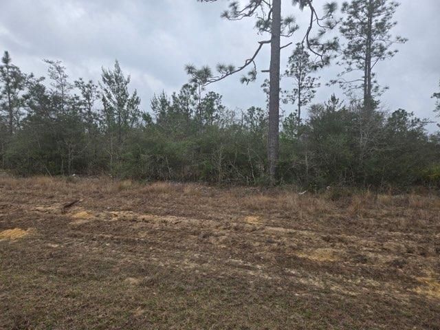 0000 NW CR 274 Road, Altha, FL 32421