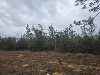 0000 NW CR 274 Road, Altha, FL 32421