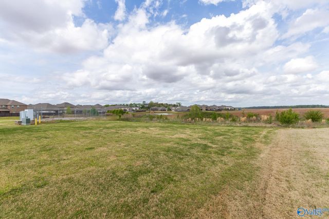 251 Holt Street, Meridianville, AL 35759