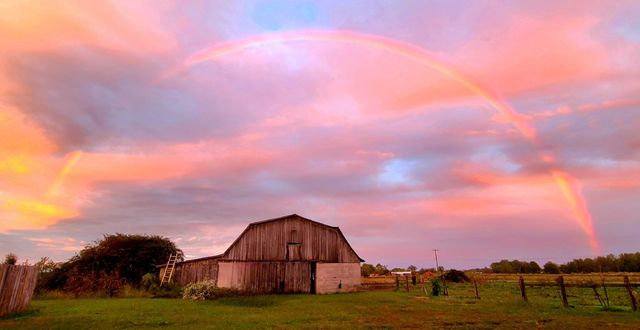 135 Campbellsville Pike, Ethridge, TN 38456