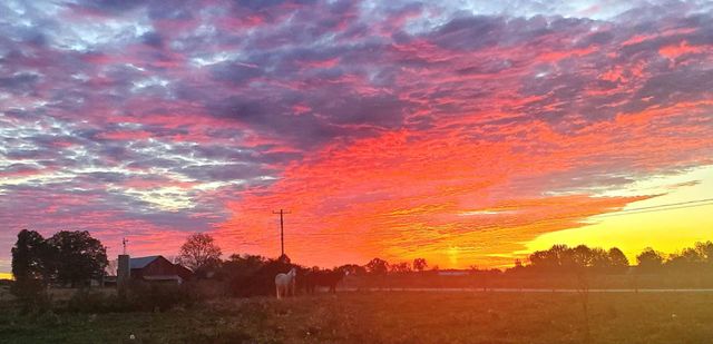 135 Campbellsville Pike, Ethridge, TN 38456