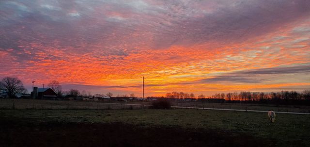 135 Campbellsville Pike, Ethridge, TN 38456