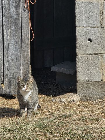 135 Campbellsville Pike, Ethridge, TN 38456