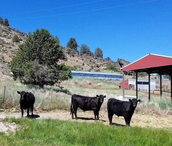 20893 Sprague River Road, Chiloquin, OR 97624