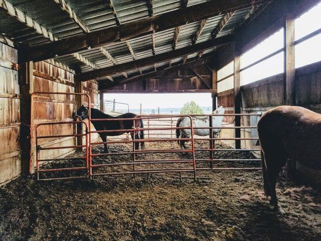 20893 Sprague River Road, Chiloquin, OR 97624