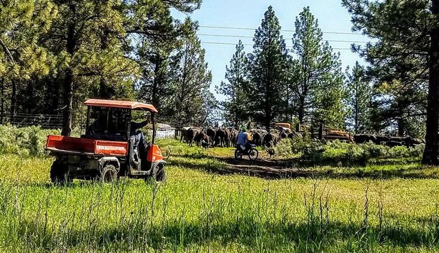 20893 Sprague River Road, Chiloquin, OR 97624