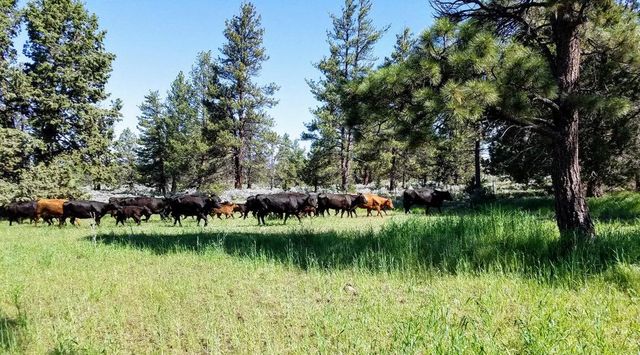 20893 Sprague River Road, Chiloquin, OR 97624