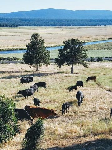 20893 Sprague River Road, Chiloquin, OR 97624