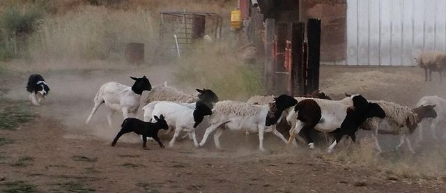 20893 Sprague River Road, Chiloquin, OR 97624