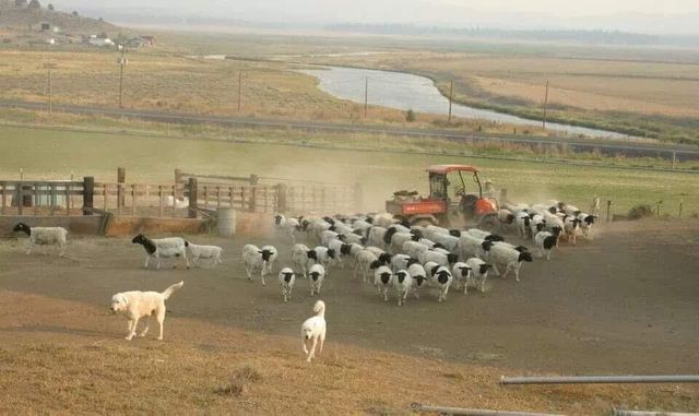 20893 Sprague River Road, Chiloquin, OR 97624