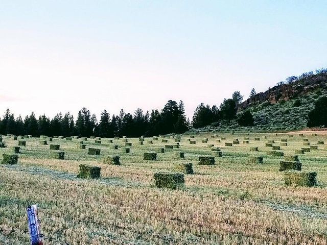 20893 Sprague River Road, Chiloquin, OR 97624