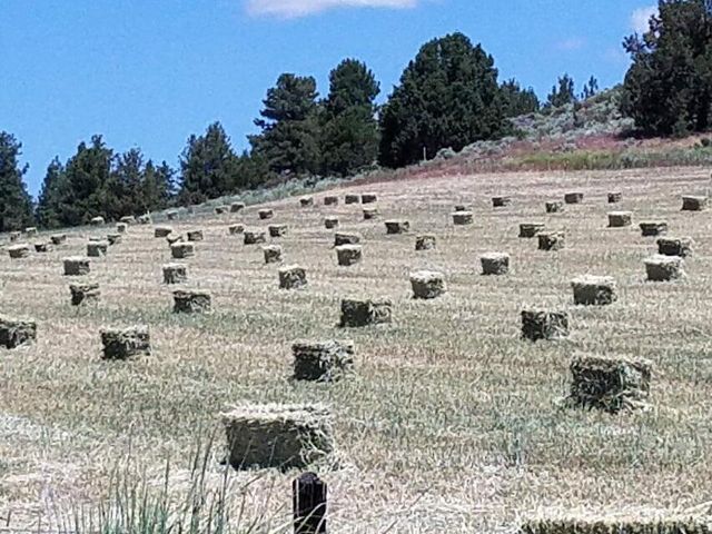 20893 Sprague River Road, Chiloquin, OR 97624