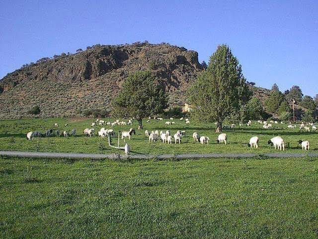 20893 Sprague River Road, Chiloquin, OR 97624