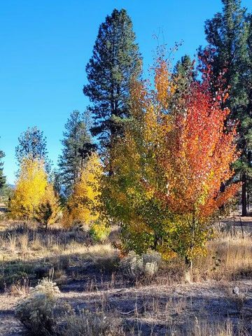 20893 Sprague River Road, Chiloquin, OR 97624