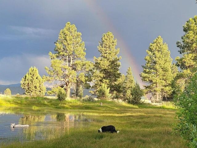 20893 Sprague River Road, Chiloquin, OR 97624