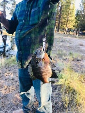 20893 Sprague River Road, Chiloquin, OR 97624