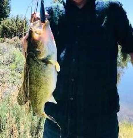 20893 Sprague River Road, Chiloquin, OR 97624