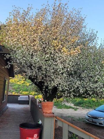 20893 Sprague River Road, Chiloquin, OR 97624