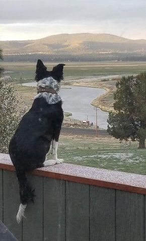 20893 Sprague River Road, Chiloquin, OR 97624