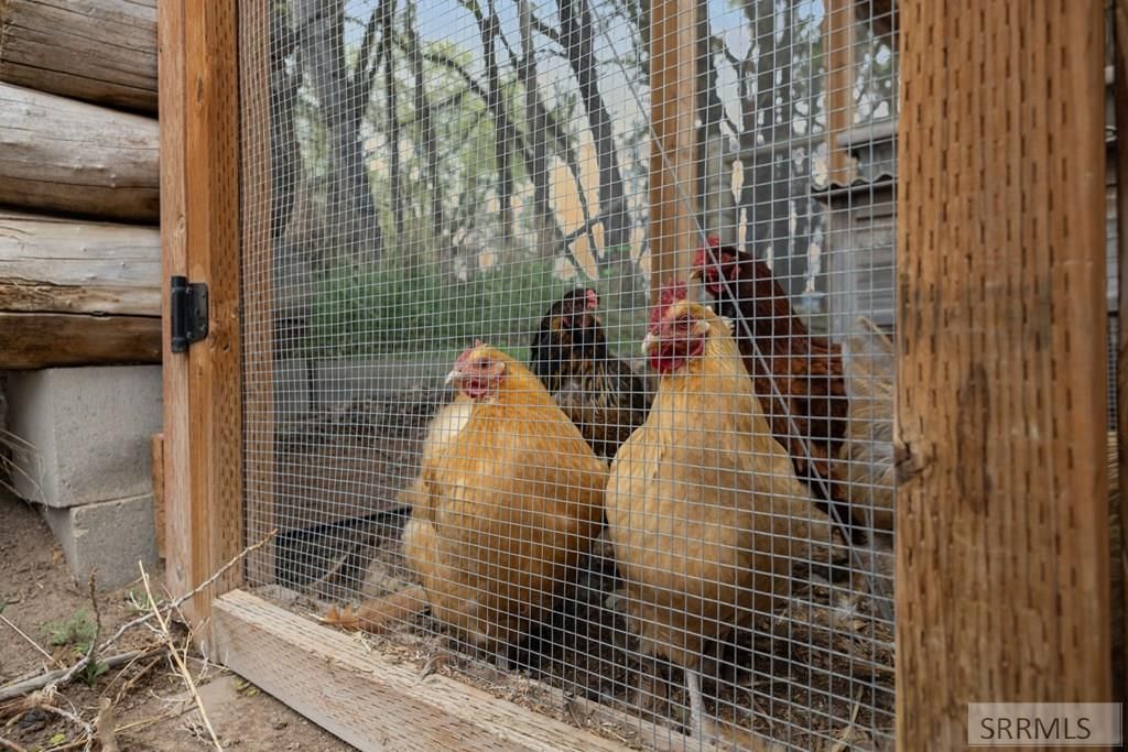 Image 55 of property listing at 3865 E 390 N, Rigby, ID 83442