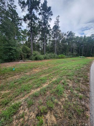 15211 Forest Grove Drive, Willis, TX 77378