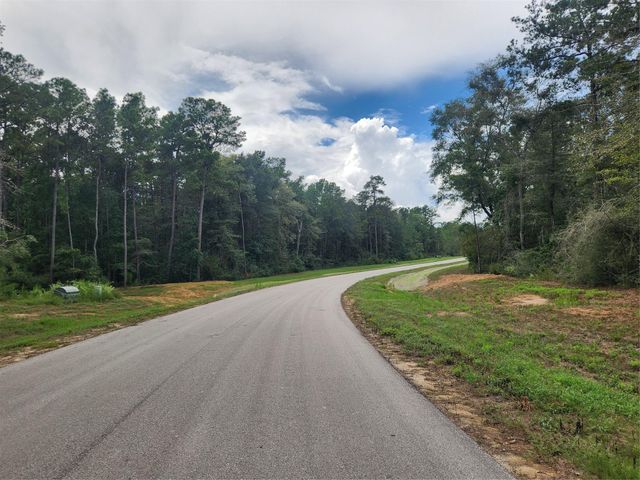 15211 Forest Grove Drive, Willis, TX 77378