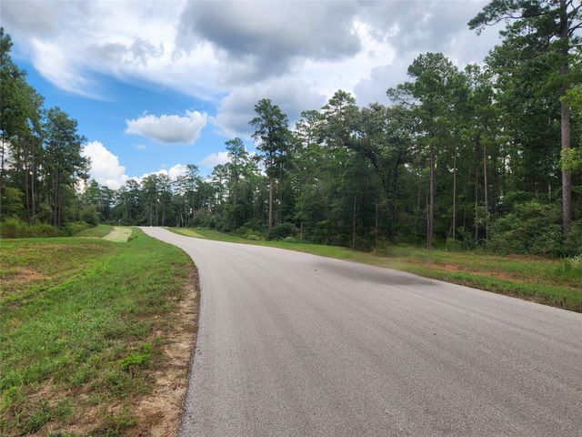 15211 Forest Grove Drive, Willis, TX 77378