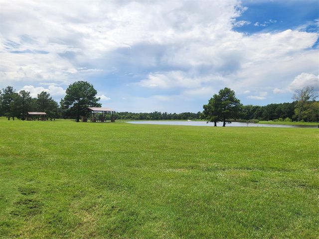 15211 Forest Grove Drive, Willis, TX 77378
