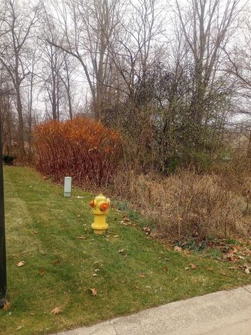 4093 Libbie Drive, Clio, MI 48420