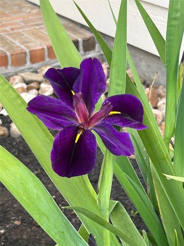 2149 Rope Maker Road, Conroe, TX 77384