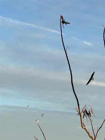 2149 Rope Maker Road, Conroe, TX 77384